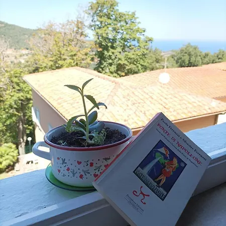 La Carezza Dell'elba