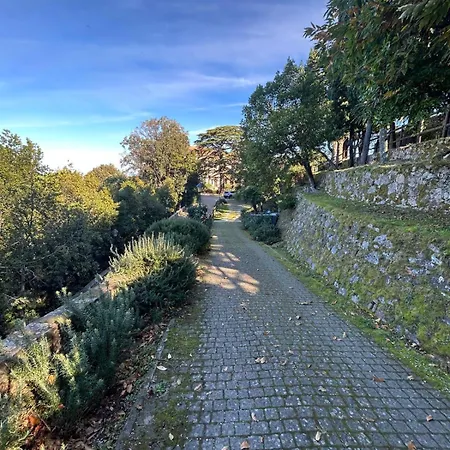 Apartamento La Carezza Dell'elba *